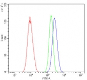 Flow cytometry testing of human A549 cells with CD59 antibody at 1ug/million cells (blocked with goat sera); Red=cells alone, Green=isotype control, Blue= CD59 antibody.