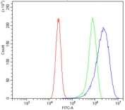 Flow cytometry testing of human Caco-2 cells with NOD1 antibody at 1ug/million cells (blocked with goat sera); Red=cells alone, Green=isotype control, Blue= NOD1 antibody.