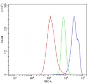 Flow cytometry testing of human A549 cells with MCM4 antibody at 1ug/million cells (blocked with goat sera); Red=cells alone, Green=isotype control, Blue= MCM4 antibody.