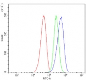 Flow cytometry testing of human Caco-2 cells with CA13 antibody at 1ug/million cells (blocked with goat sera); Red=cells alone, Green=isotype control, Blue= CA13 antibody.