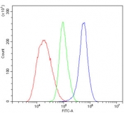 Flow cytometry testing of mouse ANA-1 cells with Cd72 antibody at 1ug/million cells (blocked with goat sera); Red=cells alone, Green=isotype control, Blue= Cd72 antibody.