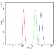 Flow cytometry testing of human ThP-1 cells with CDC123 antibody at 1ug/million cells (blocked with goat sera); Red=cells alone, Green=isotype control, Blue= CDC123 antibody.