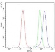 Flow cytometry testing of human U-2 OS cells with CMBL antibody at 1ug/million cells (blocked with goat sera); Red=cells alone, Green=isotype control, Blue= CMBL antibody.