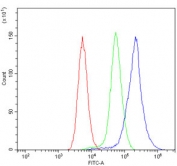 Flow cytometry testing of mouse spleen cells with Cox8a antibody at 1ug/million cells (blocked with goat sera); Red=cells alone, Green=isotype control, Blue= Cox8a antibody.