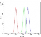 Flow cytometry testing of human HeLa cells with Mucin 1 antibody at 1ug/million cells (blocked with goat sera); Red=cells alone, Green=isotype control, Blue= Mucin 1 antibody.