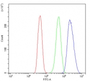 Flow cytometry testing of human Caco-2 cells with GLRX2 antibody at 1ug/million cells (blocked with goat sera); Red=cells alone, Green=isotype control, Blue= GLRX2 antibody.