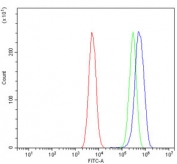 Flow cytometry testing of rat C6 cells with GRID2 antibody at 1ug/million cells (blocked with goat sera); Red=cells alone, Green=isotype control, Blue= GRID2 antibody.