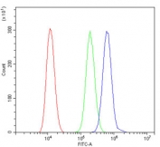 Flow cytometry testing of mouse HEPA1-6 cells with Ifi30 antibody at 1ug/million cells (blocked with goat sera); Red=cells alone, Green=isotype control, Blue= Ifi30 antibody.