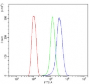 Flow cytometry testing of mouse HEPA1-6 cells with Insig1 antibody at 1ug/million cells (blocked with goat sera); Red=cells alone, Green=isotype control, Blue= Insig1 antibody.