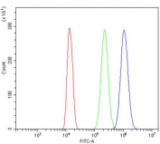 Flow cytometry testing of human ThP1 cells with MAPK11 antibody at 1ug/million cells (blocked with goat sera); Red=cells alone, Green=isotype control, Blue= MAPK11 antibody.