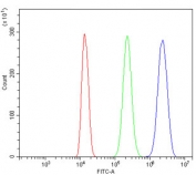 Flow cytometry testing of human ThP-1 cells with Cyclophilin E antibody at 1ug/million cells (blocked with goat sera); Red=cells alone, Green=isotype control, Blue= Cyclophilin E antibody.