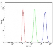 Flow cytometry testing of human ThP-1 cells with PSME2 antibody at 1ug/million cells (blocked with goat sera); Red=cells alone, Green=isotype control, Blue= PSME2 antibody.