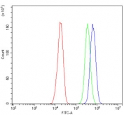 Flow cytometry testing of human MCF7 cells with RGS6 antibody at 1ug/million cells (blocked with goat sera); Red=cells alone, Green=isotype control, Blue= RGS6 antibody.