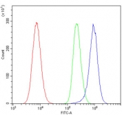 Flow cytometry testing of mouse HEPA1-6 cells with Slc14a1 antibody at 1ug/million cells (blocked with goat sera); Red=cells alone, Green=isotype control, Blue= Slc14a1 antibody.