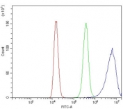 Flow cytometry testing of human 293T cells with Complement C3 antibody at 1ug/million cells (blocked with goat sera); Red=cells alone, Green=isotype control, Blue= Complement C3 antibody.