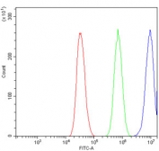 Flow cytometry testing of human A431 cells with CDC27 antibody at 1ug/million cells (blocked with goat sera); Red=cells alone, Green=isotype control, Blue= CDC27 antibody.