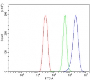 Flow cytometry testing of mouse HEPA1-6 cells with Cyp1a2 antibody at 1ug/million cells (blocked with goat sera); Red=cells alone, Green=isotype control, Blue= Cyp1a2 antibody.