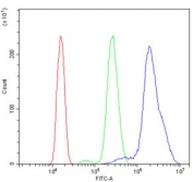 Flow cytometry testing of human HL60 cells with Diacylglycerol kinase zeta antibody at 1ug/million cells (blocked with goat sera); Red=cells alone, Green=isotype control, Blue= Diacylglycerol kinase zeta antibody.