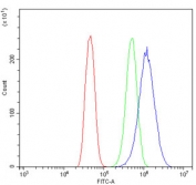 Flow cytometry testing of human Caco-2 cells with Glycine decarboxylase antibody at 1ug/million cells (blocked with goat sera); Red=cells alone, Green=isotype control, Blue= Glycine decarboxylase antibody.