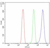 Flow cytometry testing of rat RH35 cells with GNG11 antibody at 1ug/million cells (blocked with goat sera); Red=cells alone, Green=isotype control, Blue= GNG11 antibody.