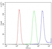 Flow cytometry testing of human K562 cells with HOXB9 antibody at 1ug/million cells (blocked with goat sera); Red=cells alone, Green=isotype control, Blue= HOXB9 antibody.