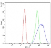 Flow cytometry testing of human Caco-2 cells with HSD17B2 antibody at 1ug/million cells (blocked with goat sera); Red=cells alone, Green=isotype control, Blue= HSD17B2 antibody.