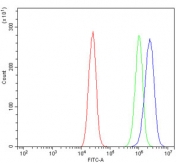Flow cytometry testing of human Caco-2 cells with IGF2-AS antibody at 1ug/million cells (blocked with goat sera); Red=cells alone, Green=isotype control, Blue= IGF2-AS antibody.