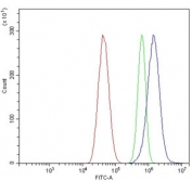 Flow cytometry testing of human U-87 MG cells with Kir5.1 antibody at 1ug/million cells (blocked with goat sera); Red=cells alone, Green=isotype control, Blue= Kir5.1 antibody.