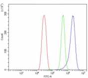 Flow cytometry testing of mouse HEPA1-6 cells with PI16 antibody at 1ug/million cells (blocked with goat sera); Red=cells alone, Green=isotype control, Blue= PI16 antibody.