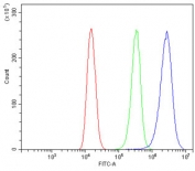 Flow cytometry testing of human 293T cells with PTEN-induced kinase 1 antibody at 1ug/million cells (blocked with goat sera); Red=cells alone, Green=isotype control, Blue= PTEN-induced kinase 1 antibody.