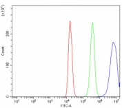 Flow cytometry testing of human 293T cells with TBP-1 antibody at 1ug/million cells (blocked with goat sera); Red=cells alone, Green=isotype control, Blue= TBP-1 antibody.