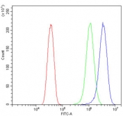 Flow cytometry testing of human HeLa cells with RAPGEF2 antibody at 1ug/million cells (blocked with goat sera); Red=cells alone, Green=isotype control, Blue= RAPGEF2 antibody.