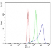 Flow cytometry testing of human ThP-1 cells with WNT7B antibody at 1ug/million cells (blocked with goat sera); Red=cells alone, Green=isotype control, Blue= WNT7B antibody.