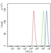 Flow cytometry testing of human HepG2 cells with CDK12 antibody at 1ug/million cells (blocked with goat sera); Red=cells alone, Green=isotype control, Blue= CDK12 antibody.