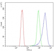 Flow cytometry testing of human HeLa cells with DNAJC10 antibody at 1ug/million cells (blocked with goat sera); Red=cells alone, Green=isotype control, Blue= DNAJC10 antibody.