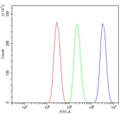 Flow cytometry testing of mouse HEPA1-6 cells with Fadd antibody at 1ug/million cells (blocked with goat sera); Red=cells alone, Green=isotype control, Blue= Fadd antibody.