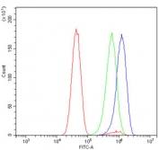 Flow cytometry testing of human U-251 cells with GABARAP antibody at 1ug/million cells (blocked with goat sera); Red=cells alone, Green=isotype control, Blue= GABARAP antibody.