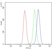 Flow cytometry testing of mouse HEPA1-6 cells with GABARAP antibody at 1ug/million cells (blocked with goat sera); Red=cells alone, Green=isotype control, Blue= GABARAP antibody.