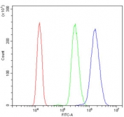 Flow cytometry testing of human HL60 cells with GCHFR antibody at 1ug/million cells (blocked with goat sera); Red=cells alone, Green=isotype control, Blue= GCHFR antibody.