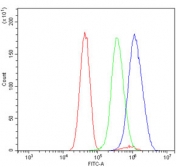 Flow cytometry testing of human U-251 cells with GRHL1 antibody at 1ug/million cells (blocked with goat sera); Red=cells alone, Green=isotype control, Blue= GRHL1 antibody.