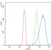 Flow cytometry testing of human U-2 OS cells with GSTA4 antibody at 1ug/million cells (blocked with goat sera); Red=cells alone, Green=isotype control, Blue= GSTA4 antibody.