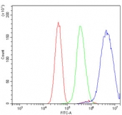 Flow cytometry testing of human U-251 cells with HOXC8 antibody at 1ug/million cells (blocked with goat sera); Red=cells alone, Green=isotype control, Blue= HOXC8 antibody.