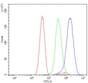 Flow cytometry testing of human U-251 cells with HOXC10 antibody at 1ug/million cells (blocked with goat sera); Red=cells alone, Green=isotype control, Blue= HOXC10 antibody.