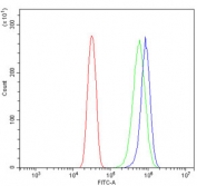 Flow cytometry testing of human U-2 OS cells with IL2RB antibody at 1ug/million cells (blocked with goat sera); Red=cells alone, Green=isotype control, Blue= IL2RB antibody.