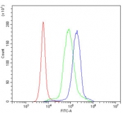 Flow cytometry testing of human PBM cells with Interleukin 15 antibody at 1ug/million cells (blocked with goat sera); Red=cells alone, Green=isotype control, Blue= Interleukin 15 antibody.