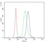 Flow cytometry testing of human PBM cells with Interleukin 15 antibody at 1ug/million cells (blocked with goat sera); Red=cells alone, Green=isotype control, Blue= Interleukin 15 antibody.