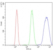 Flow cytometry testing of human HL60 cells with METTL3 antibody at 1ug/million cells (blocked with goat sera); Red=cells alone, Green=isotype control, Blue= METTL3 antibody.