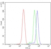 Flow cytometry testing of human ThP-1 cells with METTL3 antibody at 1ug/million cells (blocked with goat sera); Red=cells alone, Green=isotype control, Blue= METTL3 antibody.