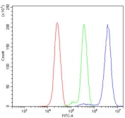 Flow cytometry testing of human ThP-1 cells with METTL14 antibody at 1ug/million cells (blocked with goat sera); Red=cells alone, Green=isotype control, Blue= METTL14 antibody.