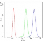 Flow cytometry testing of human HL60 cells with NDUFB10 antibody at 1ug/million cells (blocked with goat sera); Red=cells alone, Green=isotype control, Blue= NDUFB10 antibody.